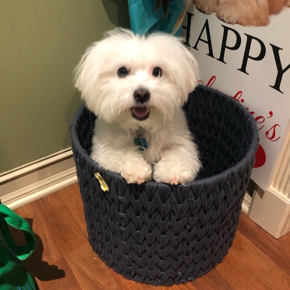 Meet your Posher, Lori - Picture 3 of 4